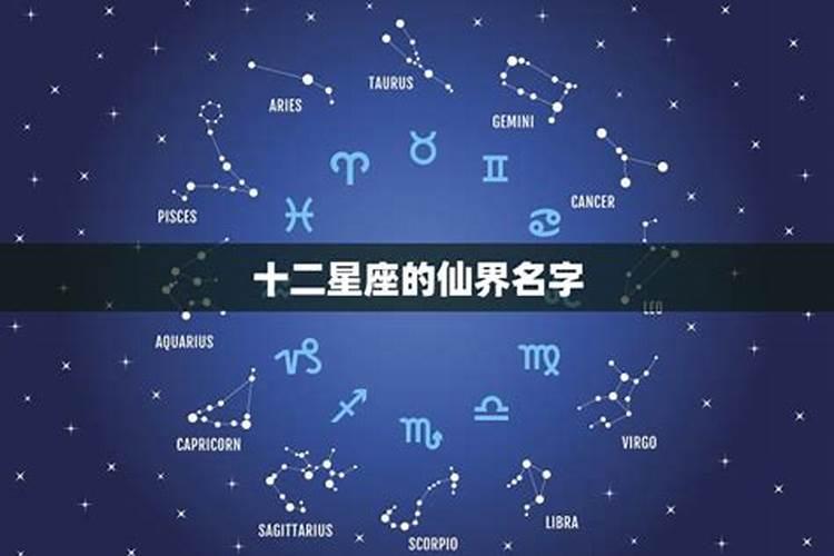 十二星座的仙界名字都是什么？