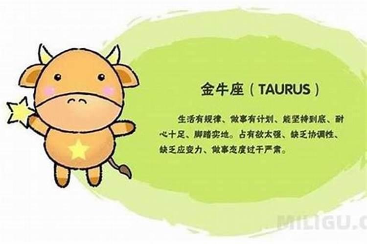 属虎的金牛女性格特点