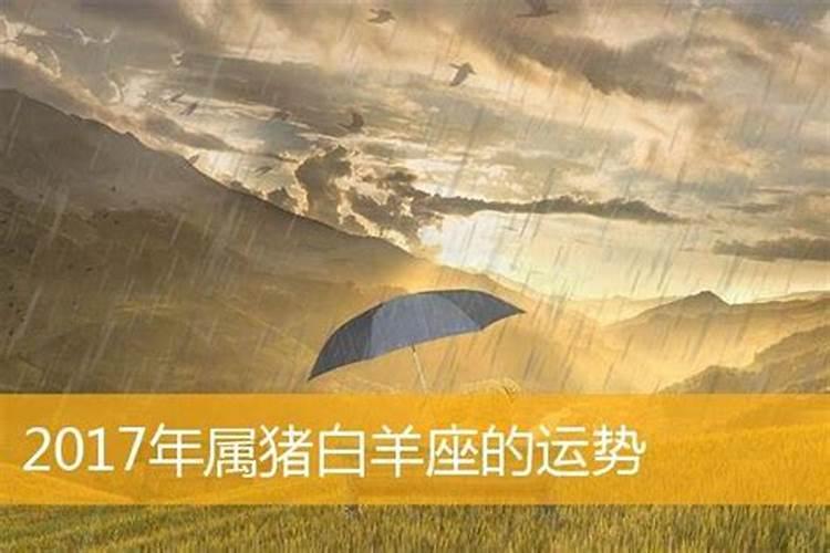 属猪白羊男的感情性格特点