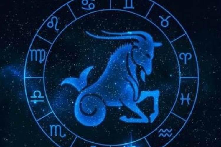 摩羯座明年运势2024