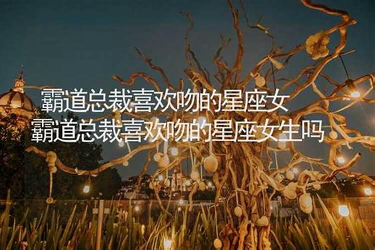 霸道总裁喜欢的星座