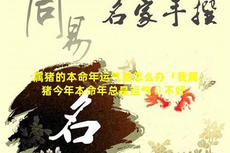 水逆怎么办