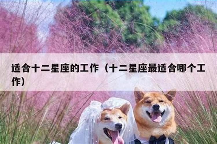 天蝎座最适合的工作