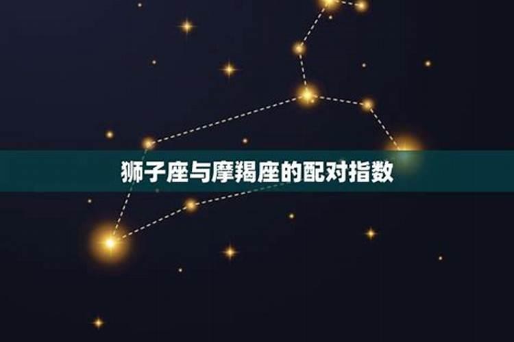 摩羯座座和狮子座配吗