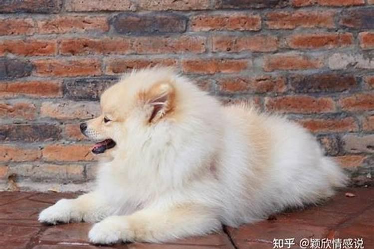 巨蟹女对不喜欢的追求者有多狠