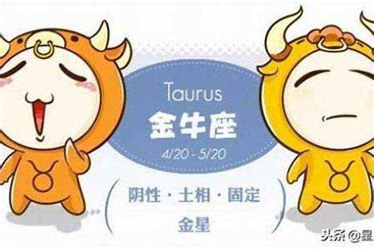 金牛男喜欢上一个人是什么表现