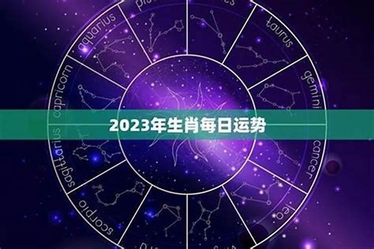 12星座每日运势查询