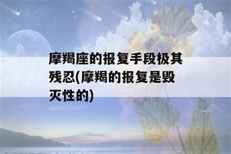 摩羯男报复