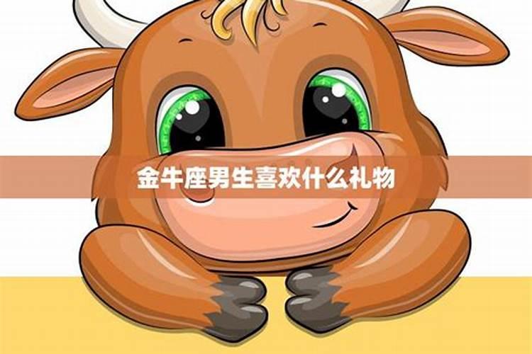 金牛座喜欢什么的男生