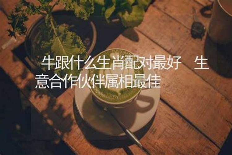 生意合作伙伴属相最佳
