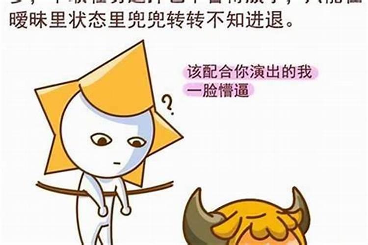 最不会暧昧的星座