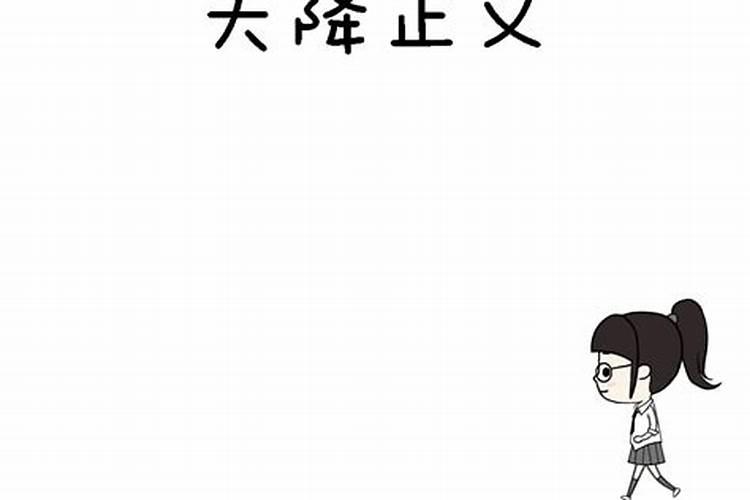 猫与熊小则171十二星座学霸前5名