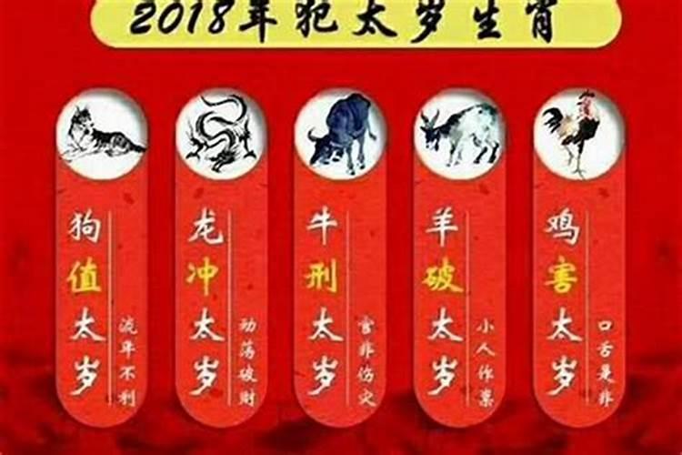 属马今年犯太岁吗2024年