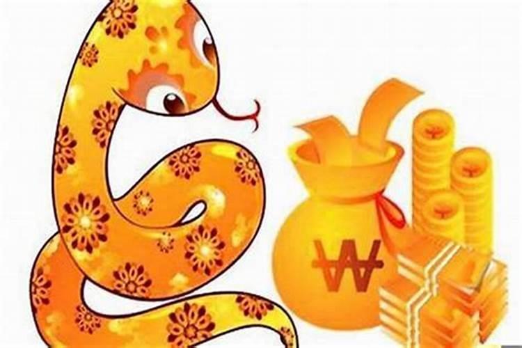 属蛇和属蛇合财吗