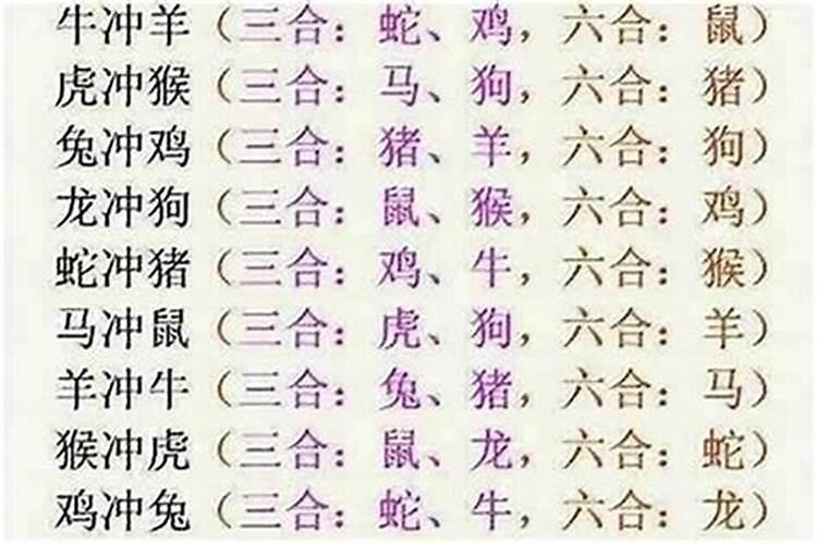 十二生肖前后肖有哪些