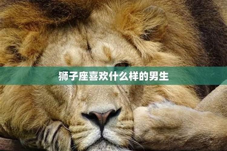 狮子男喜欢什么样身材的女人