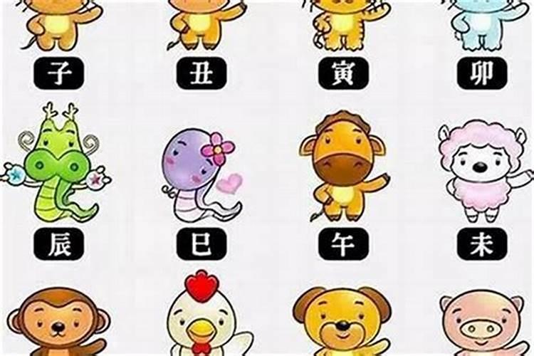各个生肖的双子座