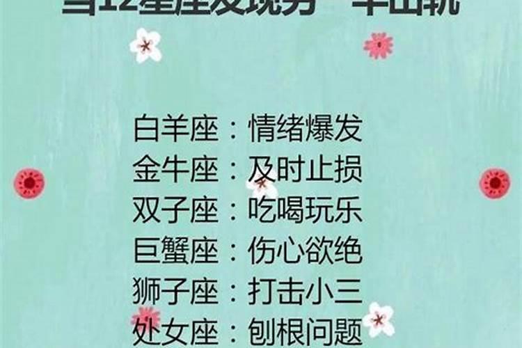 十二星座的大明星