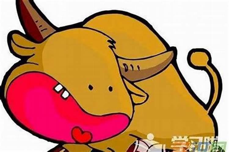 金牛座怎么谈恋爱