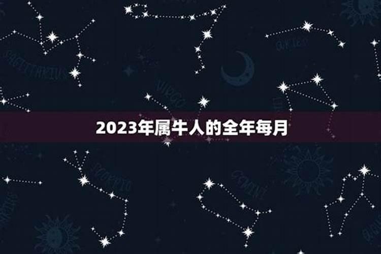 1997年属牛2023年的运势