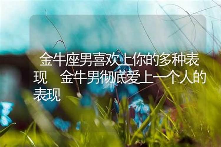 金牛座彻底放下一个人的表现