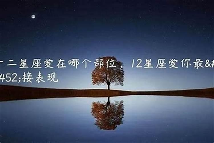 哪个星座赚钱最多
