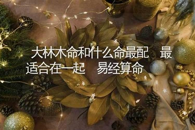 大林木命适合和什么命的人在一起