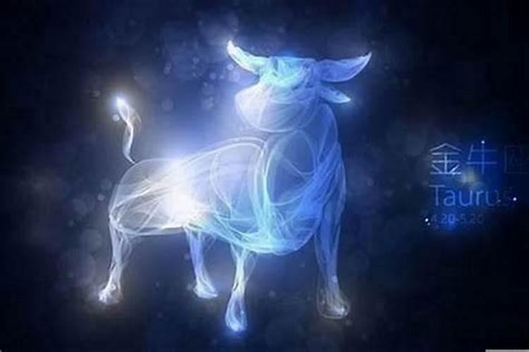 金牛座的男生喜欢一个人的表现是什么