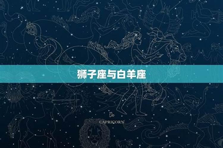 狮子座与十二星座