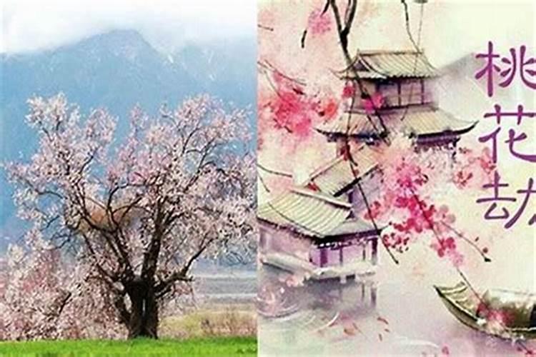 十二星座的桃花劫是什么星座