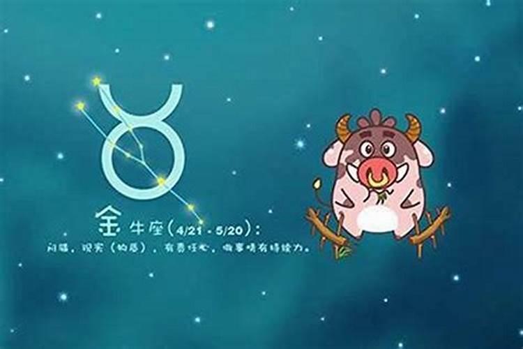 越装傻就越聪明的三大星座