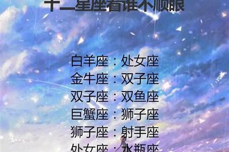 十二星座谁追求者最多