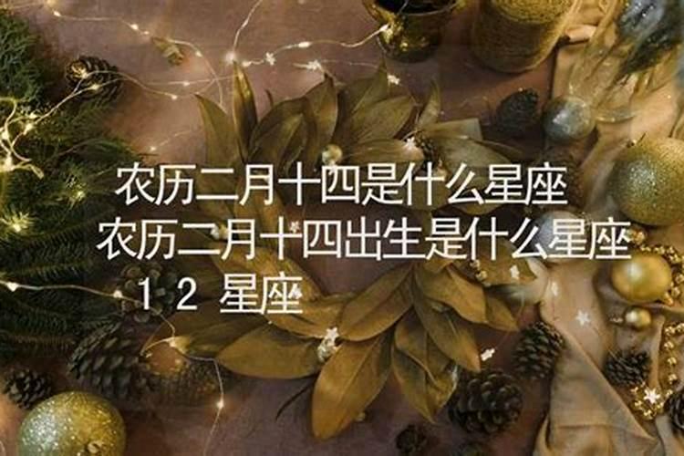 2004年阴历二月十四是什么星座