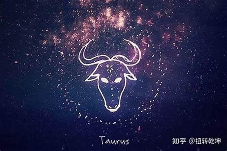 属马金牛男对爱情观