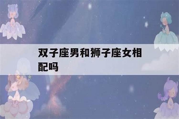 狮子座女和双子座男合得来吗
