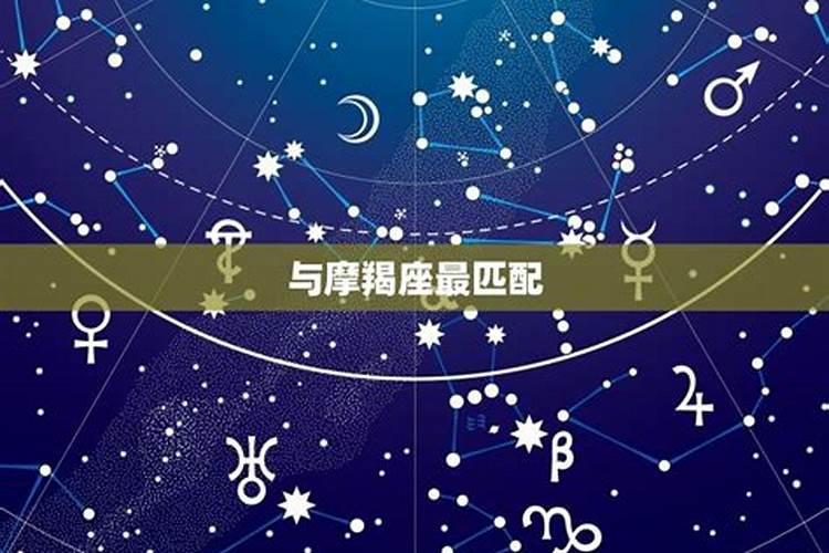 金牛座是不是最凶悍的星座呢