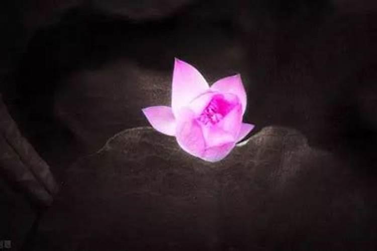天蝎对水瓶一见钟情