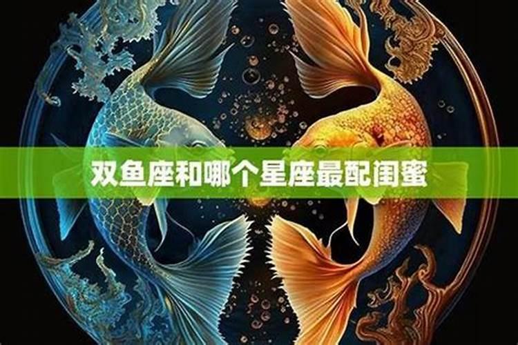 双鱼座和处女座交朋友
