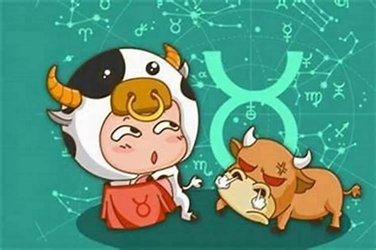 金牛男提分手怎么挽回