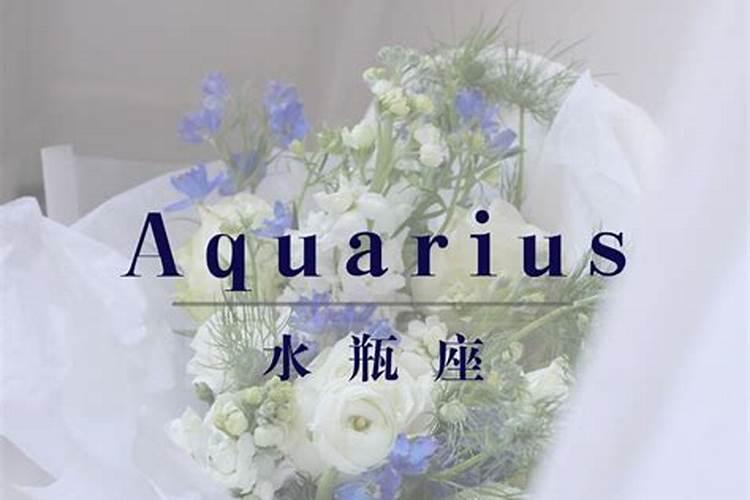 水瓶座的幸运花朵