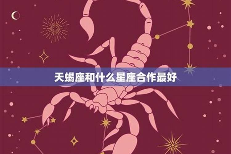 和天蝎最好的星座友情