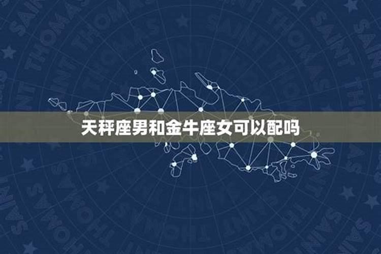 天秤女与金牛男配对