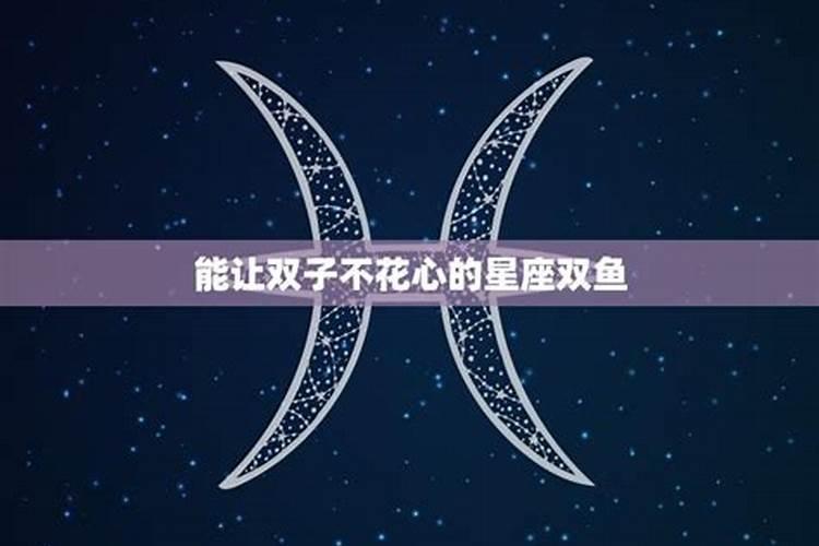 双鱼座的魅力吸引多少星座