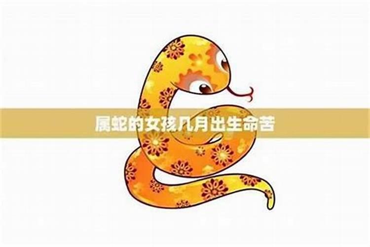 2024属蛇女人的婚姻