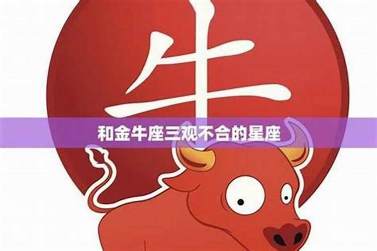 射手座和金牛座友情合不合
