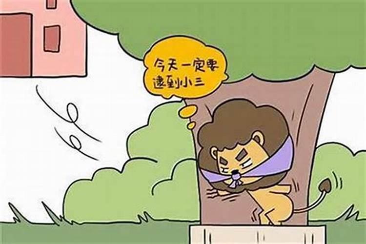 狮子男不喜欢回信息