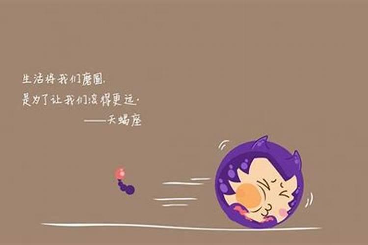 什么星座表面很坚强但内心很柔弱