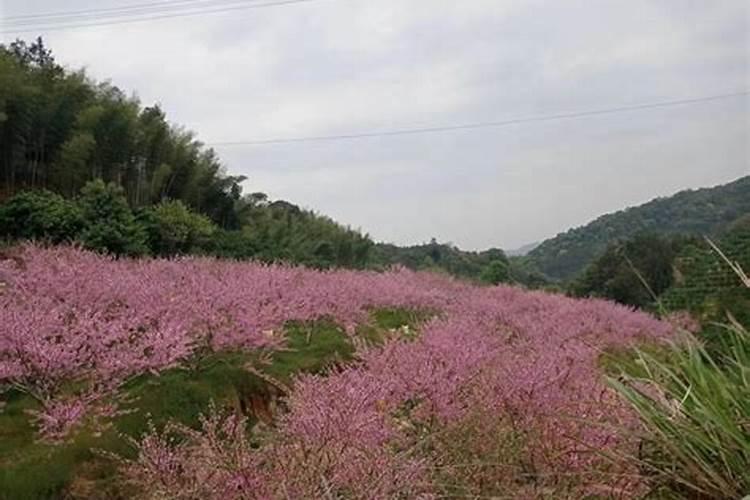 再等83天，四大星座生意顺水行舟，鸿运天降，好运一触即发