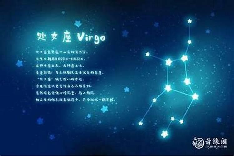 处女座最近的感情运势