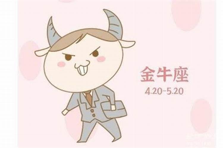 金牛座的男生喜欢什么样的女孩